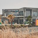 거기벵디 | 구좌읍 맛집 벵디 구좌 월정리 본점과 제주오누이만 알면 완전 정복