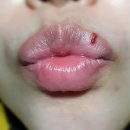 2월 8~13일(휴식)