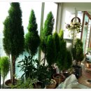 흥왕목장 이미지