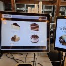 딸기애견 이미지