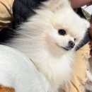 사가정문고 | 1월