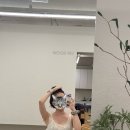 돈의비밀 - 13. 나의 시간과 투자의 시간 | 막항 11개월차.. 이날만을 기다렸다. 항암 붙임머리 후기(feat.유잇다)