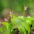 산등반점 이미지