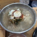 은행나무 갈매기 이미지