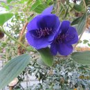 칠갑산농원 이미지