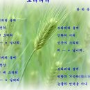 시동산 네이버블로그