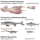 CW-2112-01 이미지