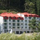 숲사이길펜션 이미지