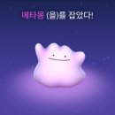 영조세탁소 | 과잠입고 혼궁한 후기