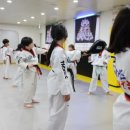 용인대 석사 타이거즈 태권도장 이미지