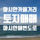 무의도본토공인중개사사무소 | 마시안카페거리 마시안해변 덕교동 토지급매