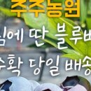 주주농원