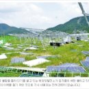 유○ 태양광발전소 이미지