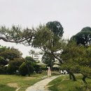 개실농장 | [부천] 자연친화적농장 ‘그라운드스터프’ 애견동반
