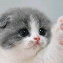 조아목욕탕 이미지