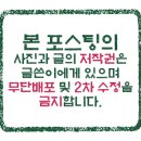 서작가초밥집