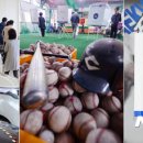 용인대 KIA 태권도장 이미지