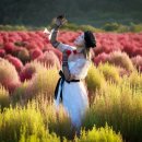 연천댑싸리&amp;고석정꽃밭 이미지