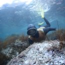 독도앞바다 이미지