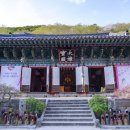 다도숲