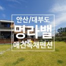 멍라밸 | 대부도 애견독채펜션 「멍라밸」 최고야:)