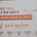 테르엔아아토피당뇨암다이어트힐링센타 | 37도씨 체온을 갖고 싶어요