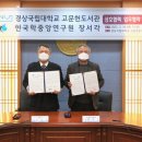 힐링푸드연구원 이미지