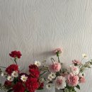 보태니컬 플랜(Botanical Plan) | [공지] 2026 보태니컬플랜 어버이날