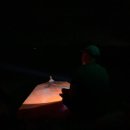 반딧불1 이미지