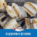 우성장어