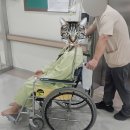 삼성다빈치 | 다빈치 로봇수술 자궁근종 수술 첫날부터 10일째까지 후기