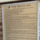 2학기(3월~6월) / 해금 | 2026년 1학기 경희대 승마 교양 수업 후기