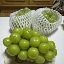 은애농장 이미지