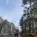 광교힐스테이트공인중개사사무소 | ♣ 광교 자연앤힐스테이트 아파트-2026년 최신 시세.정책.전망♣