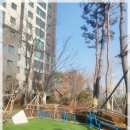 투고그린 이미지