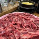 참토우 이미지