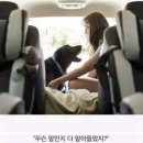 강아지의 하루 이미지