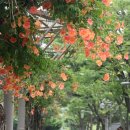 부천중앙공원 이미지