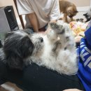 민강E&G 이미지