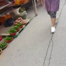 안중장 이미지