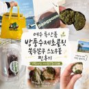 나만의 수제 떡 디저트 만들기 | 국내 여행 여수 디저트 특산품 기념품 간식 선물 추천 방풍수제생초콜릿 방문 후기