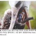 (주)영천인터넷뉴스
