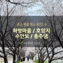 이야기가 있는 사과나무 마을 | 충주 벚꽃 명소 BEST 4｜하방마을 호암지 수안보 충주댐 벚꽃 개화 후기