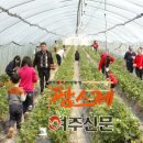 여주농산물
