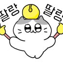 메이노브네일 - 동구 등대로 50 | 메이노브네일