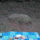 산장어곰장어