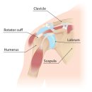 선수촌로104-5 | 팔이 안 올라가고 밤에 아프면 오십견입니다. 초기에 치료해야 빨리 낫습니다