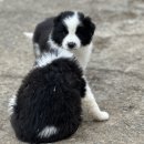 일명농장 이미지