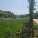 서해전기 - 완도군 노화로 722 | 서해전기