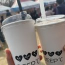 예솔커피 | 2026년 3월 일상 기록 2탄